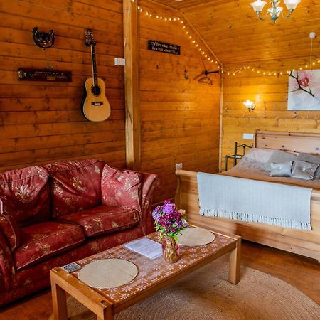 Blossom Cabin - Little Log Cabin In Wales 纽敦 外观 照片