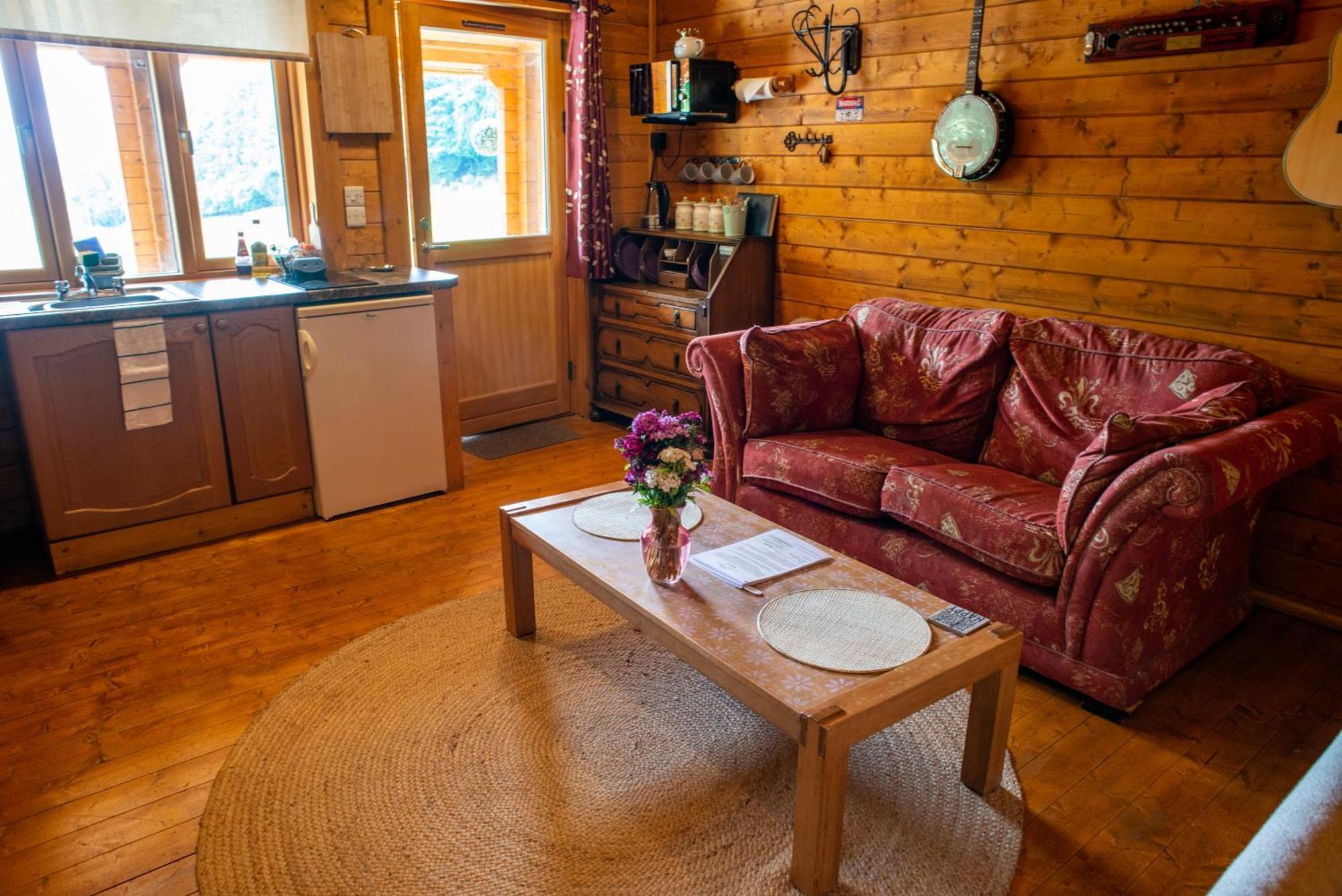 Blossom Cabin - Little Log Cabin In Wales 纽敦 外观 照片