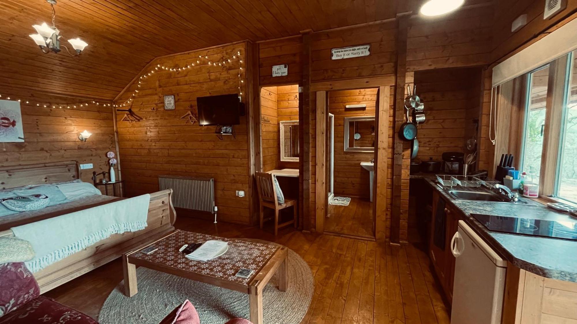 Blossom Cabin - Little Log Cabin In Wales 纽敦 外观 照片