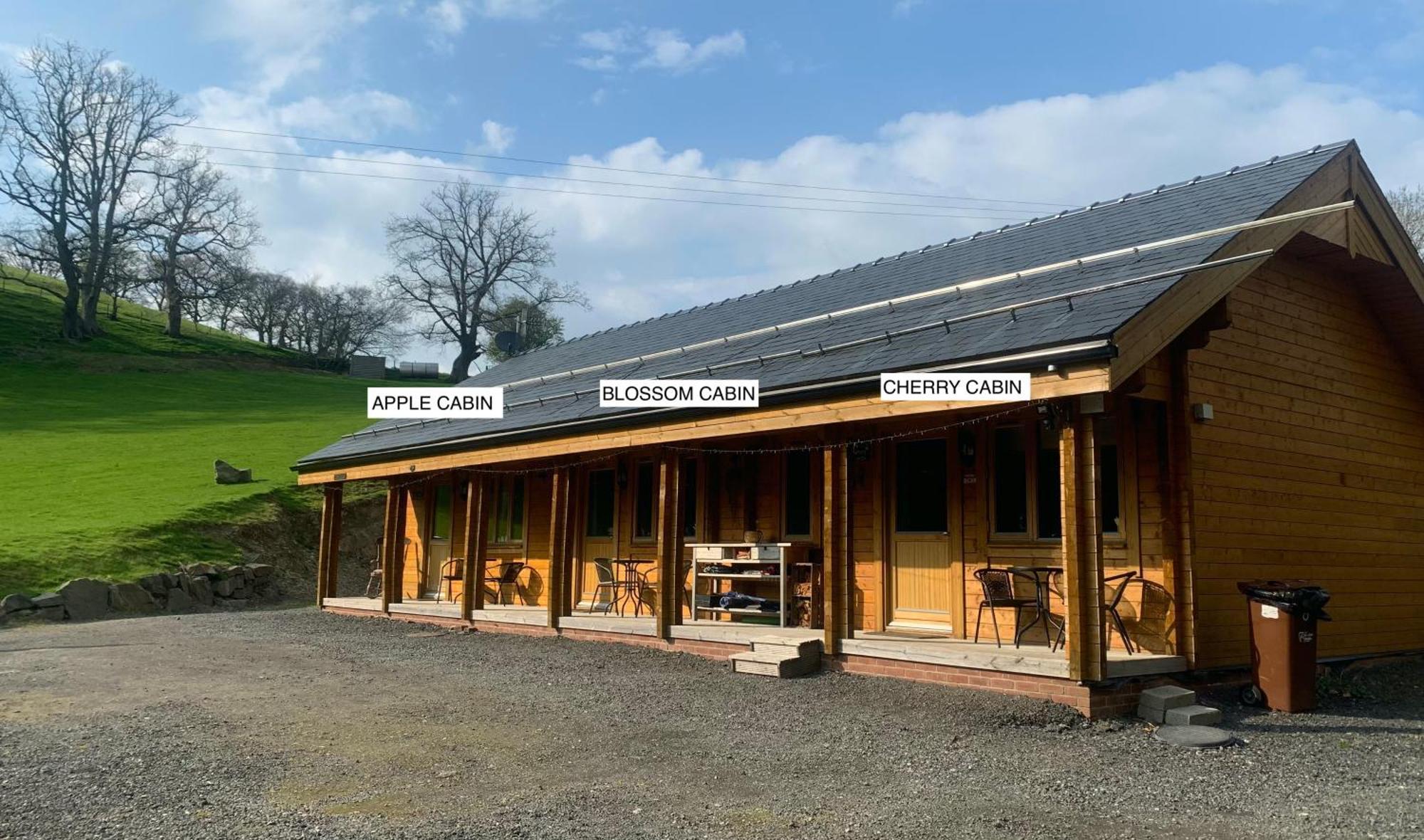 Blossom Cabin - Little Log Cabin In Wales 纽敦 外观 照片
